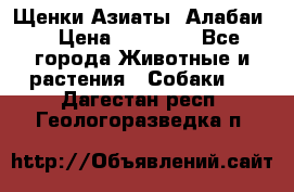 Щенки Азиаты (Алабаи) › Цена ­ 20 000 - Все города Животные и растения » Собаки   . Дагестан респ.,Геологоразведка п.